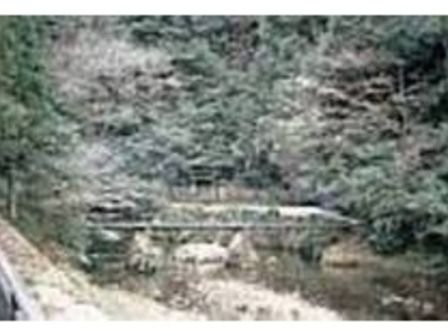 うっそうと茂る森に守られて佇む岩屋の御陵_吾平山上陵