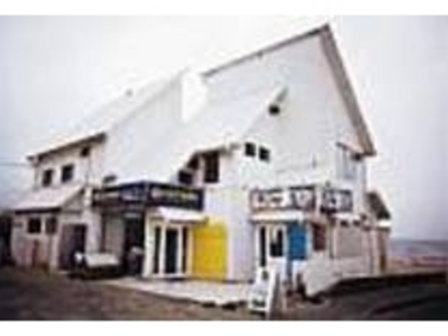 海風を受ける海岸線沿いに立っている_Chip