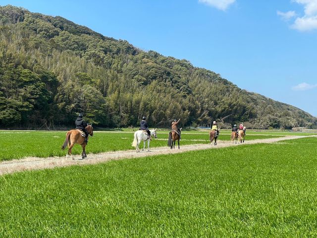 カナディアンキャンプ乗馬クラブ