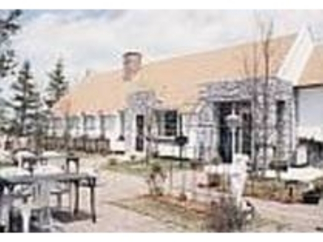 チューリップやバラに囲まれた庭も素敵_open cafe けやきの森