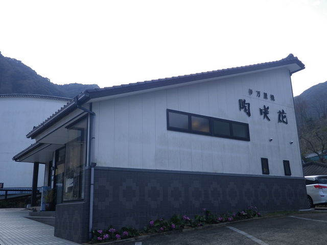 陶咲花