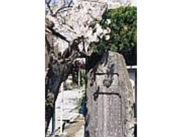 通りの角に今はひっそりと幕府跡碑が立つ_大倉幕府跡碑