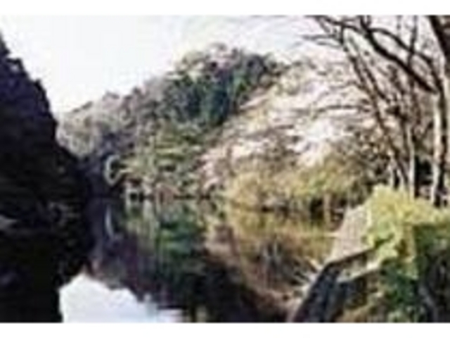江戸時代から親しまれ利水に役立ってきた池_散在ヶ池森林公園