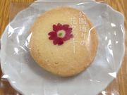 菓心亭かまだの写真1