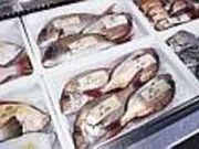 村上市岩船港漁協直売所の写真1