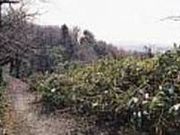 護摩堂ふれあい広場の写真1