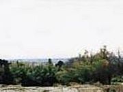 護摩堂ふれあい広場の写真2