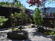 五日市天然温泉ゆらゆらの写真2