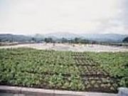 大隅広域公園の写真2