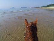 カナディアンキャンプ乗馬クラブの写真3