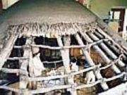 富山市北代縄文広場の写真2