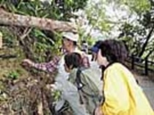 比地大滝の歴史、文化や動植物を愉快に解説_比地大滝ウォーク