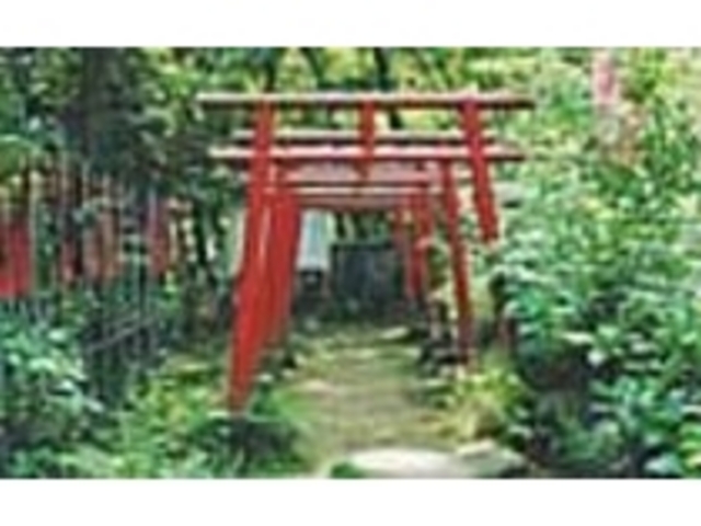老狸が湯河原温泉で傷を完治させたとの所以_狸福神社