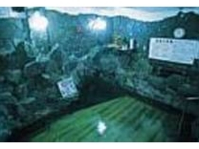 真下から源泉が湧出している岩風呂_古湯坊 源泉館