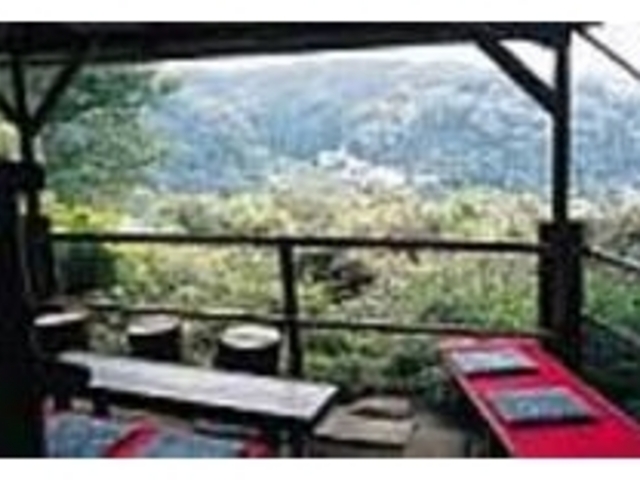 山々が色づく桜、紅葉の季節が特に美しい_弁天堂茶屋