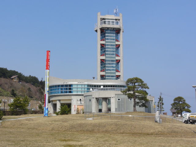 イルカウォッチング