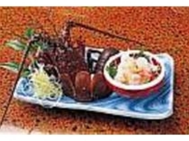 プリッと弾力のある『伊勢エビのお造り』_富久潮