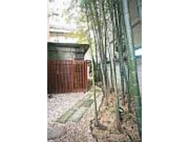 清々しい竹が植えられたエントランスが素敵_KURA CARMINE