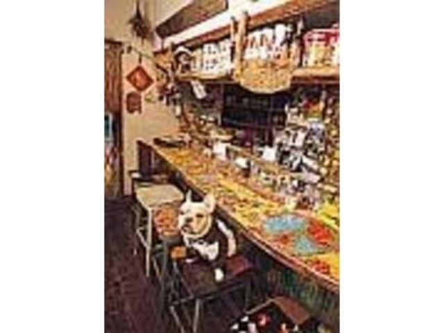 温かみのある店内で、看板犬がお出迎え_Jamcha