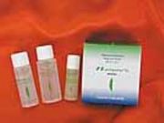 有限会社レキオパラダイスの写真2