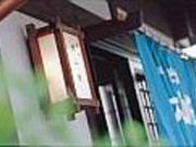 そば 大山桜の写真2