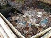 民宿 碁石丸の写真2