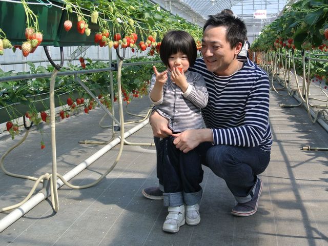観光福祉農園元気ファーム