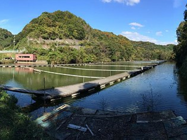 釣堀センター菊水