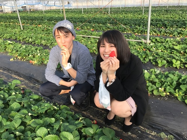 広川いちご園