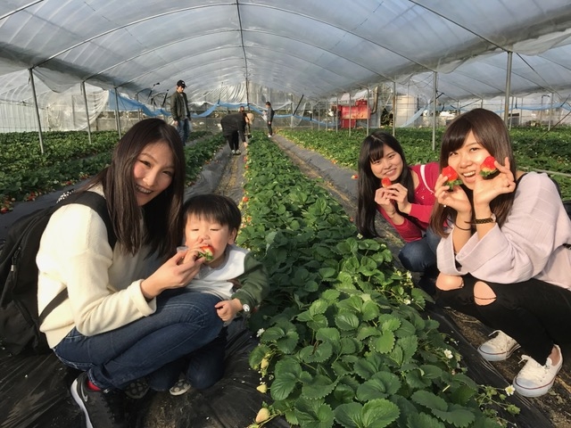 広川いちご園