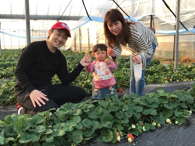 広川いちご園