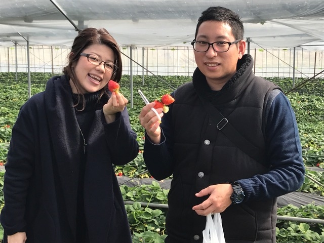 広川いちご園