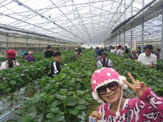 ベリーズ司園