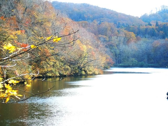 長沼・白沼