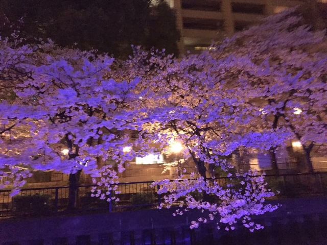 ゴンドラ・バル