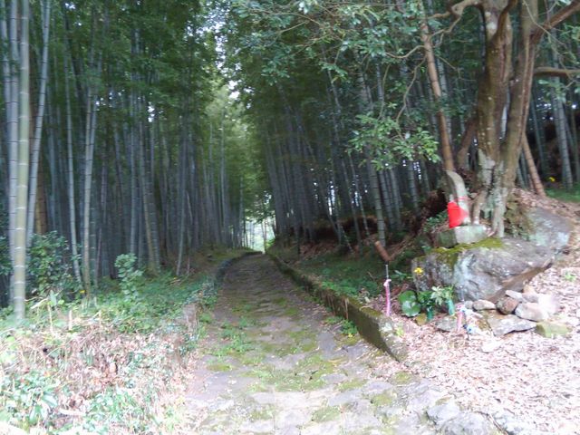 石畳の道(草枕ハイキングコース)