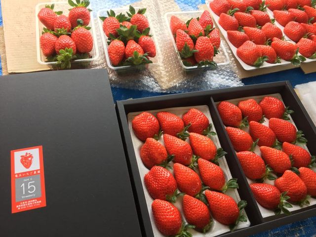 直売も行っております!_竜王いちご農園