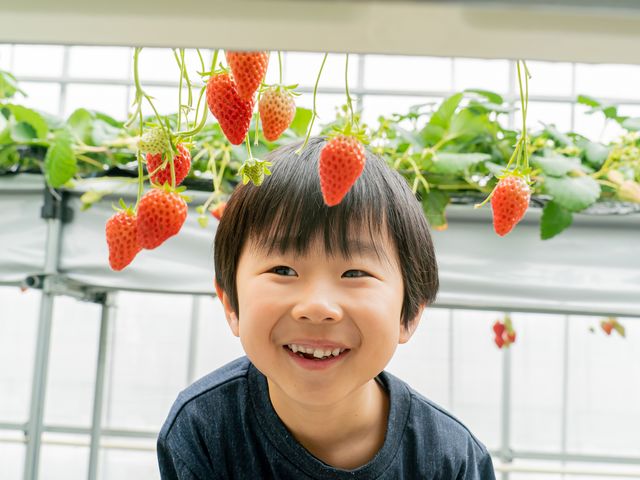 ひさだ苺農園