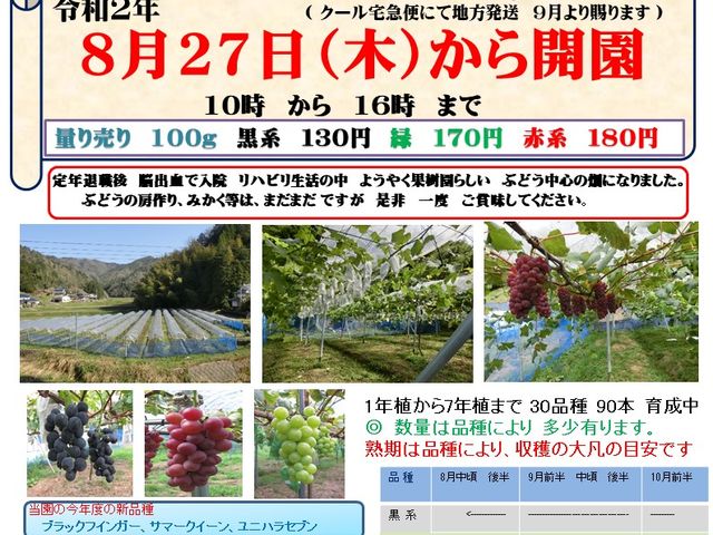 令和2年ぶどうのチラシ_真楽園