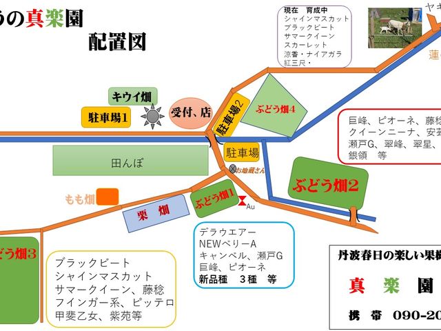 真楽園配置図
_真楽園