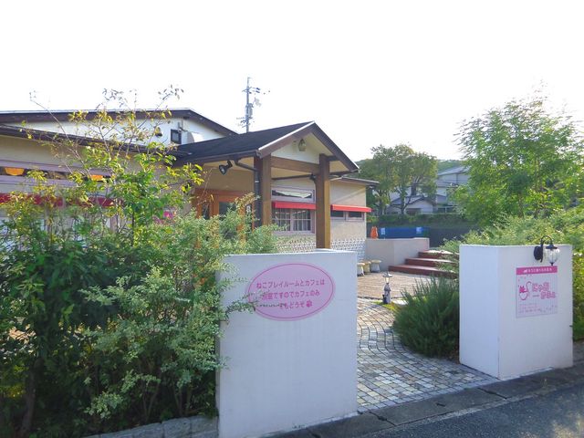 敷地面積300坪。_ねこと遊べるお店 にゃおかふぇ