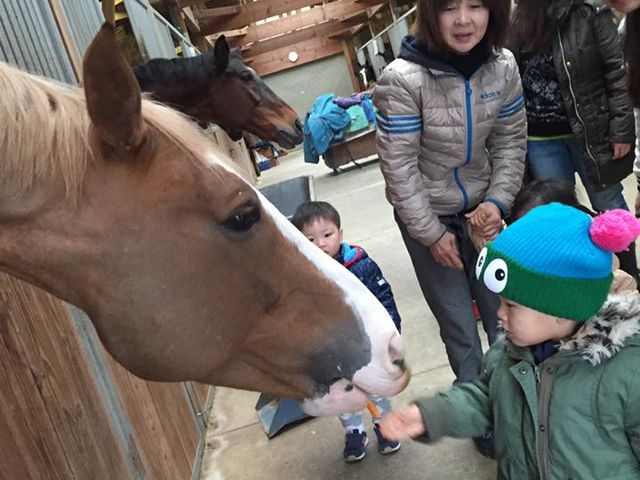 JB北広島乗馬クラブ