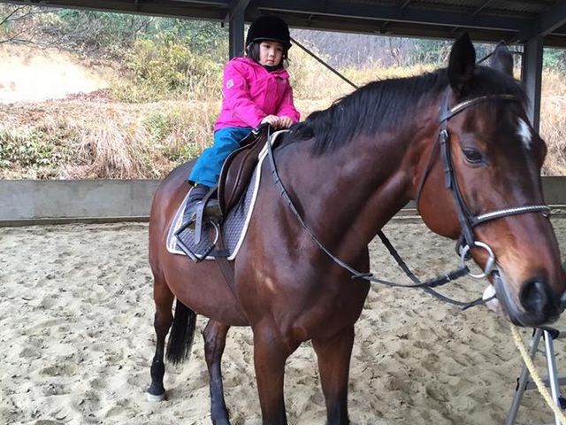 JB北広島乗馬クラブ
