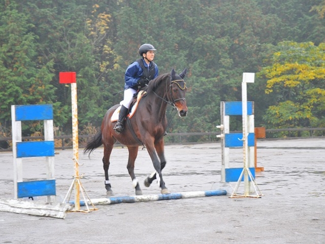 JB北広島乗馬クラブ