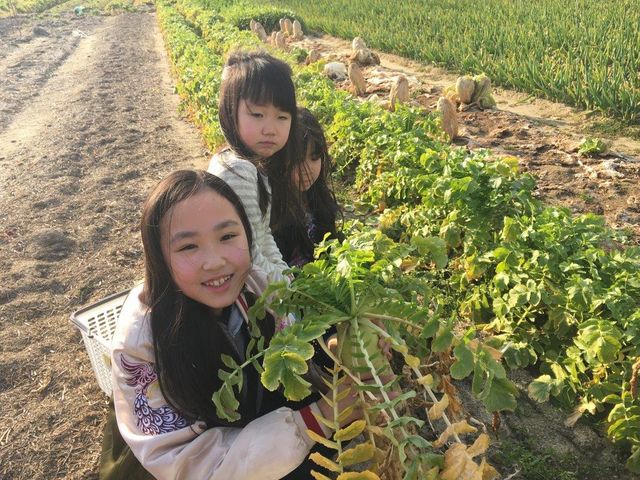 山末農園