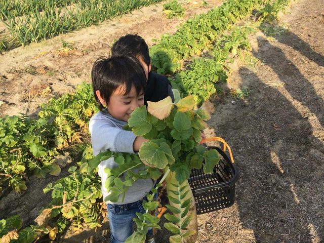 山末農園