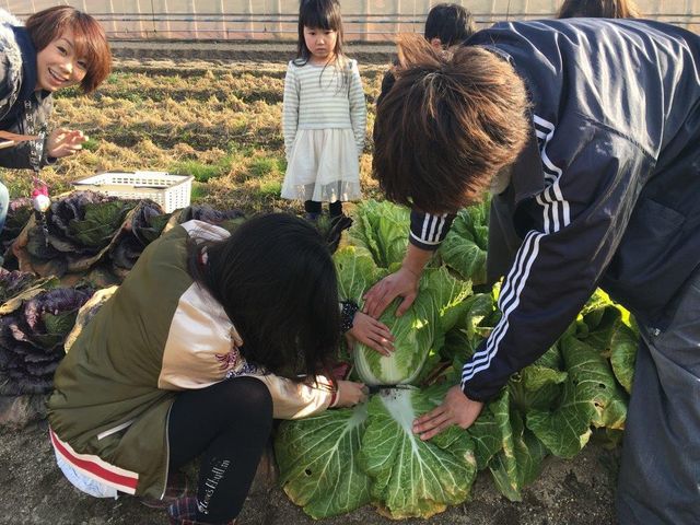 山末農園