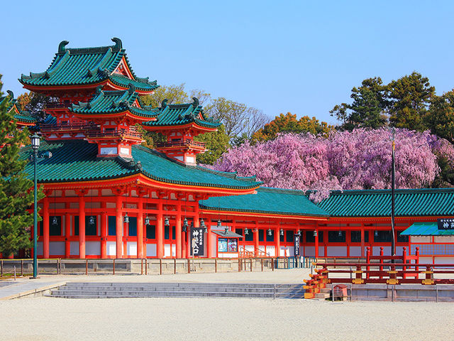 平安神宮桜_和gan