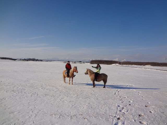 冬の雪中乗馬もオススメ。_ムツ牧場 ひだまり乗馬クラブ