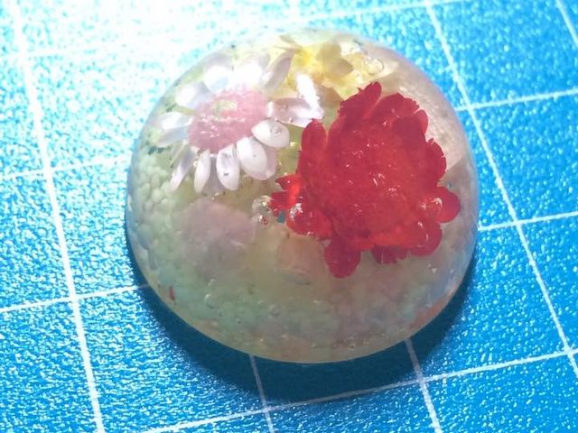 スターフラワーのレジンドーム_LotusFrog